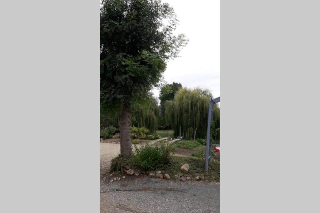 Апартаменты Entre Vignes Et Loire Blaison-Saint-Sulpice Экстерьер фото